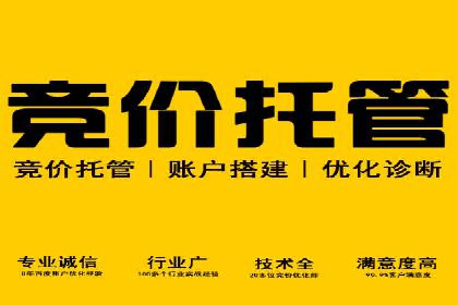 如何在sem竞价托管中取得卓越效果——案例解读